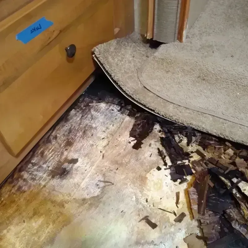 Wood Floor Water Damage in Birmingham, MI